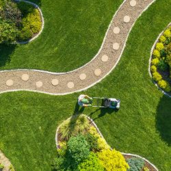 Lawn Care Services