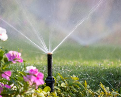irrigation audit