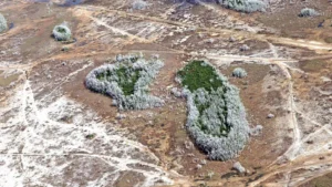 southwest florida water shortage